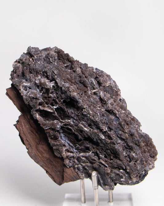 阿爾卑斯產木化石標本,含玉髓結晶與細緻紋理,是收藏者與自然系家居空間的理想裝飾品。