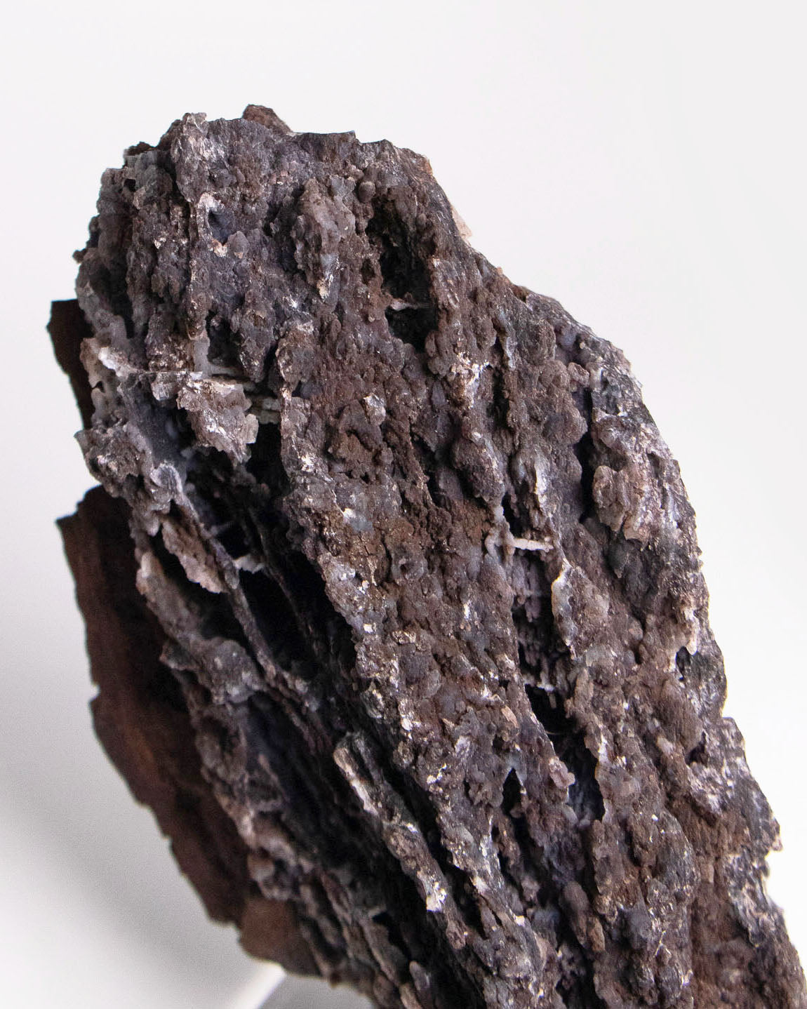 阿爾卑斯產木化石標本,含玉髓結晶與細緻紋理,是收藏者與自然系家居空間的理想裝飾品。