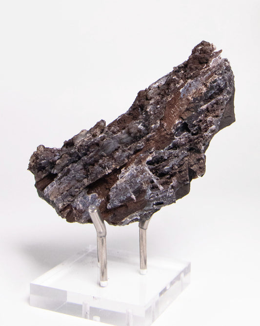 義大利阿爾卑斯產木化石,含玉髓結晶與細緻紋理,是收藏者與自然系家居空間的理想裝飾品。