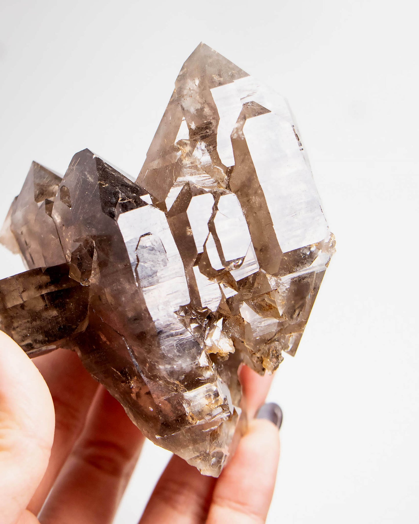 波士尼亞戰士煙晶|療癒系漸層煙晶・自癒能量與穩定力量