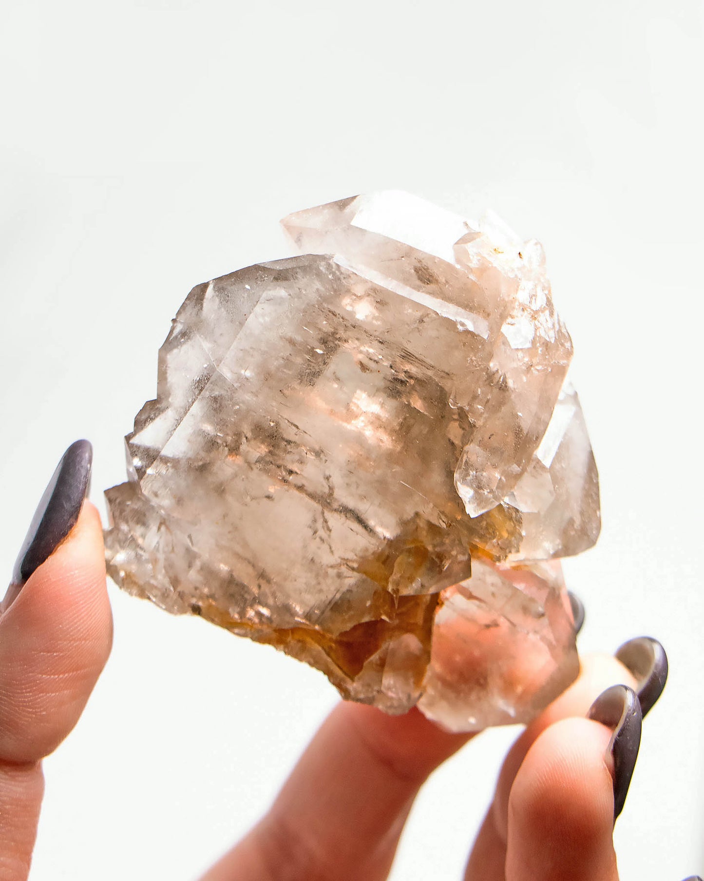 波士尼亞戰士煙晶|療癒系漸層煙晶・自癒能量與穩定力量