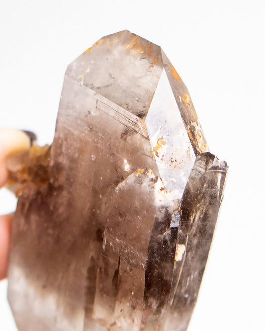 波士尼亞煙晶,以漸層色澤與自癒痕跡聞名,溫柔卻堅毅,象徵療癒能量、穩定力量與自我修復後的再生轉化。