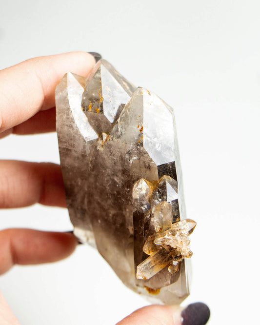 波士尼亞煙晶,象徵療癒能量、穩定力量與自我修復後的再生轉化。