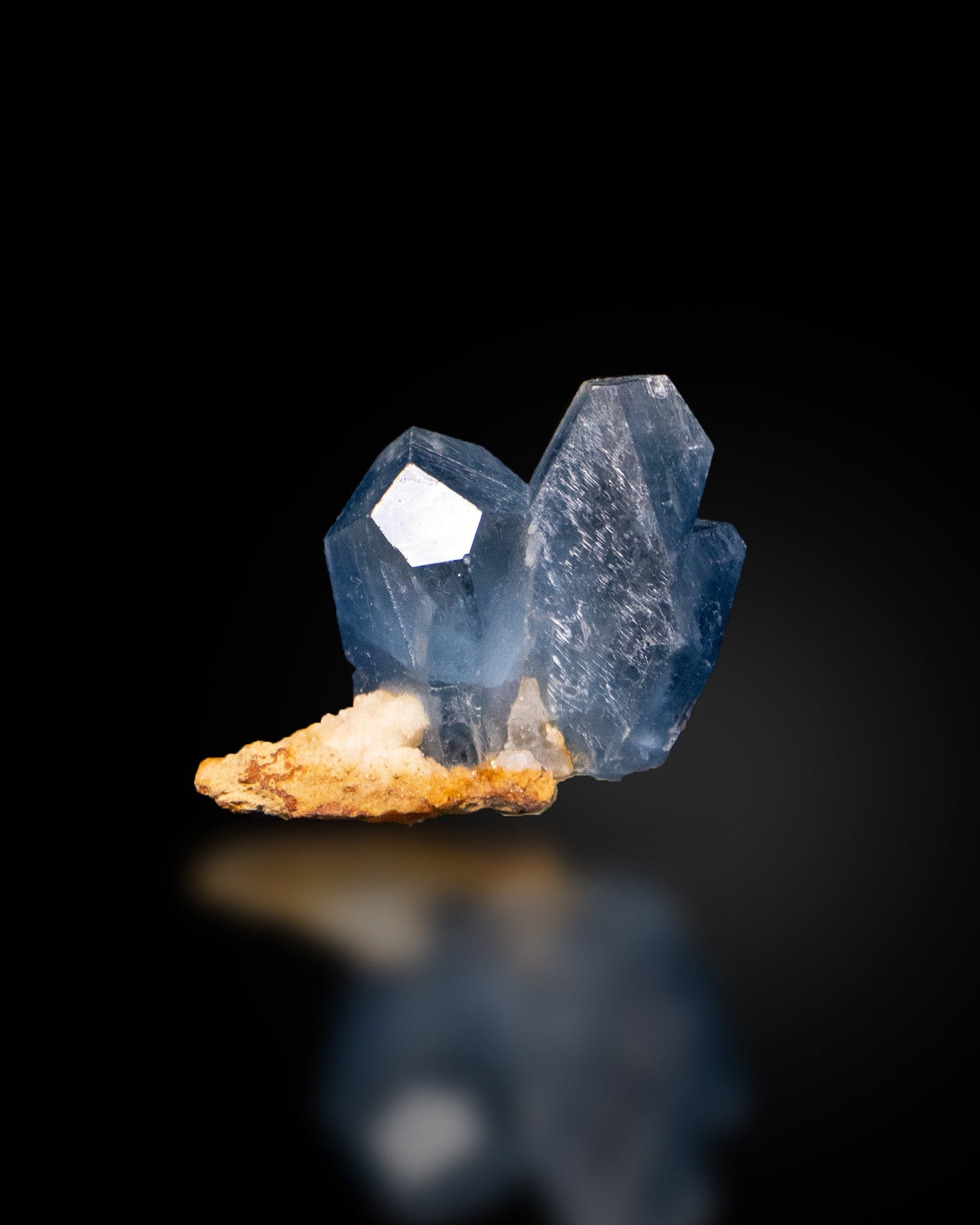 稀有與精品礦標