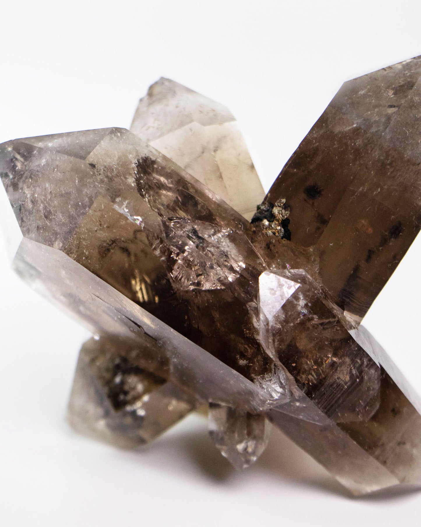 波士尼亞戰士煙晶・療癒系漸層煙晶・自癒能量與穩定力量