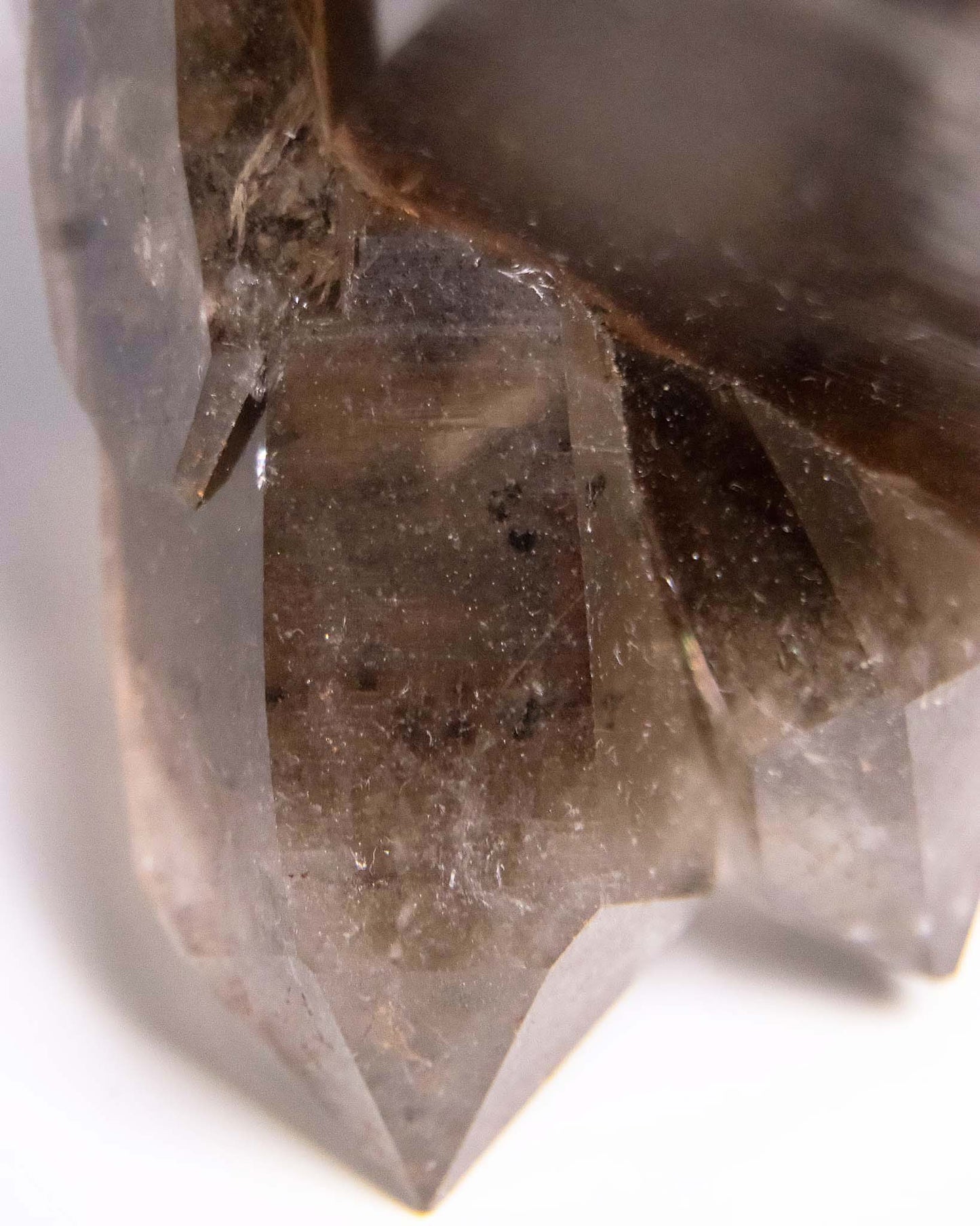 波士尼亞戰士煙晶・療癒系漸層煙晶・自癒能量與穩定力量