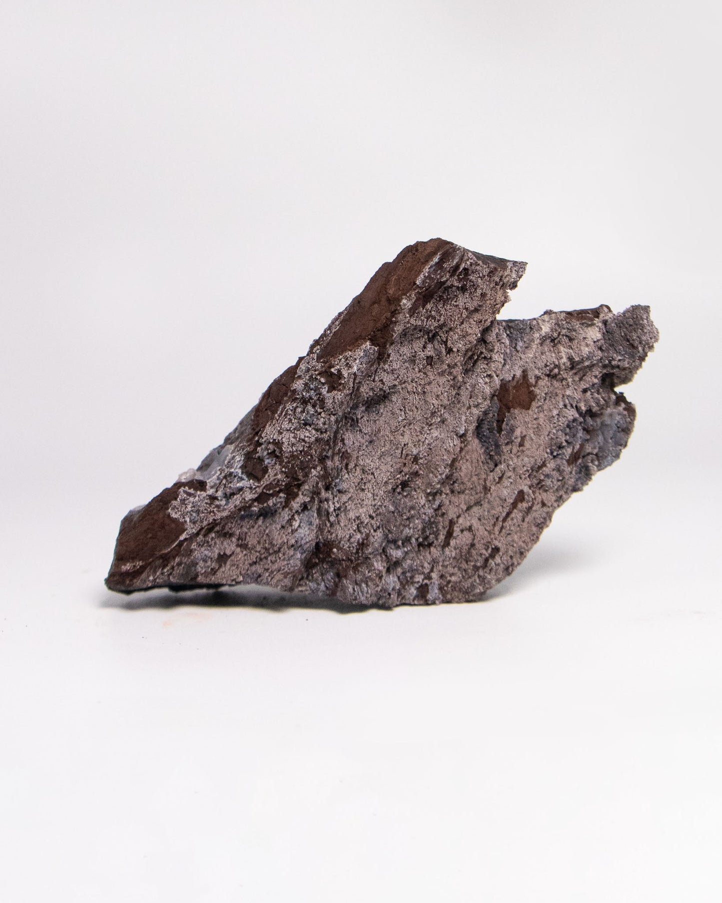 純淨木質生活提升居家風格與能量──阿爾卑斯居家木頭擺飾