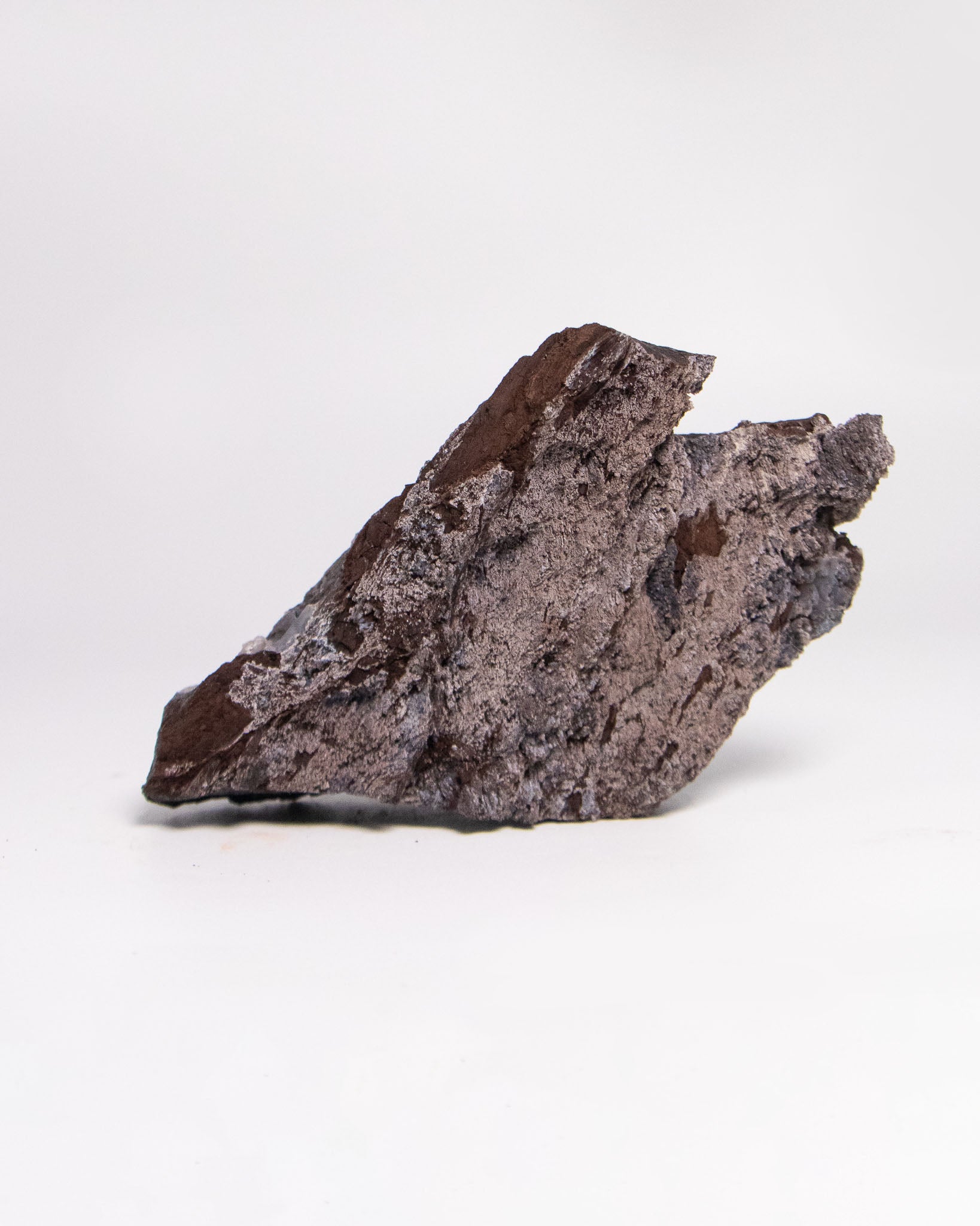 純淨木質生活提升居家風格與能量──阿爾卑斯居家木頭擺飾