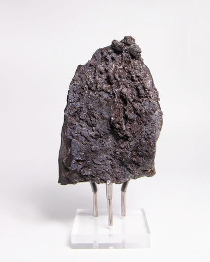 阿爾卑斯產木化石標本，含玉髓結晶與細緻紋理，是收藏者與自然系家居空間的理想裝飾品。