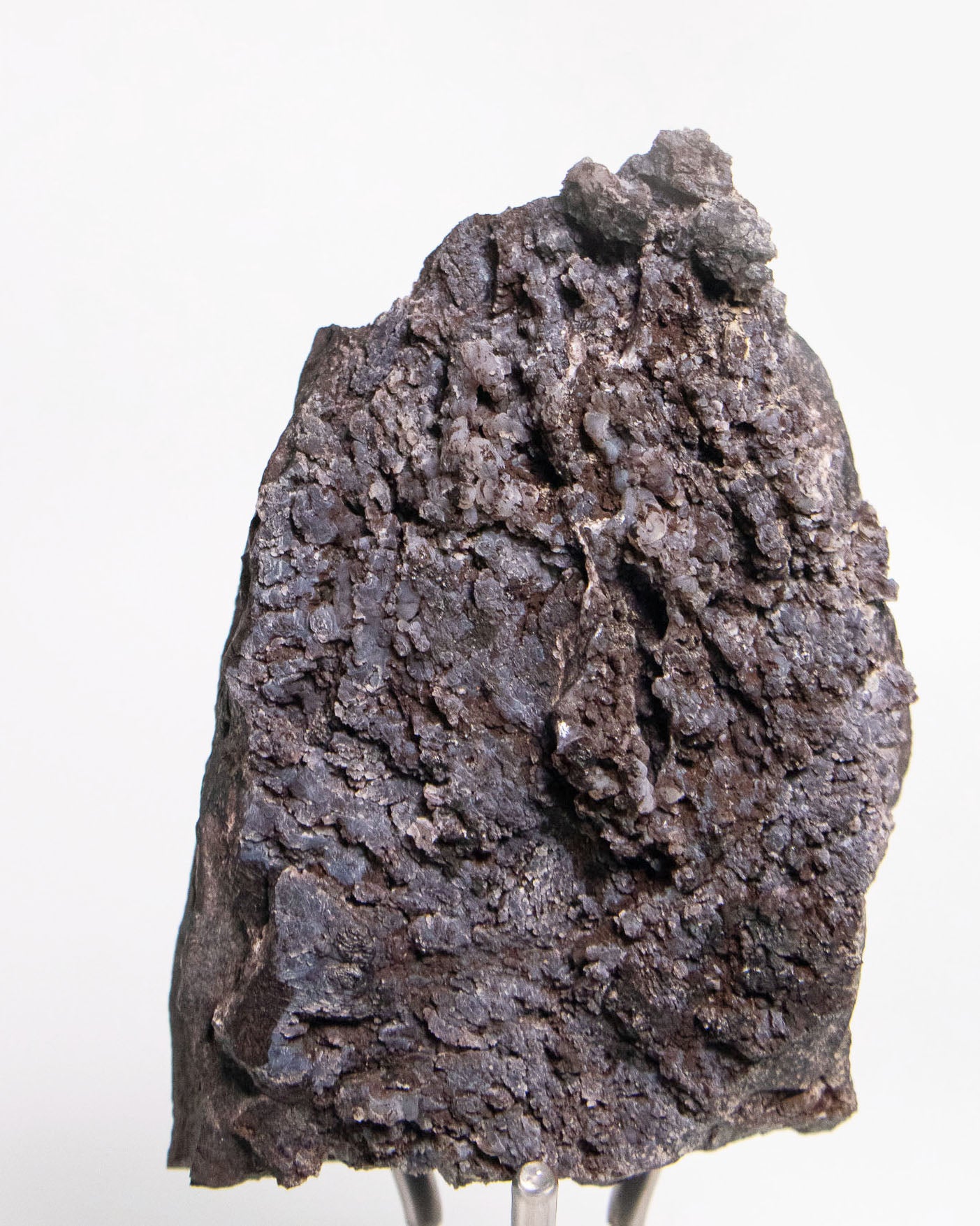 阿爾卑斯產木化石標本，含玉髓結晶與細緻紋理，是收藏者與自然系家居空間的理想裝飾品。