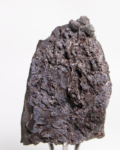 阿爾卑斯產木化石標本，含玉髓結晶與細緻紋理，是收藏者與自然系家居空間的理想裝飾品。