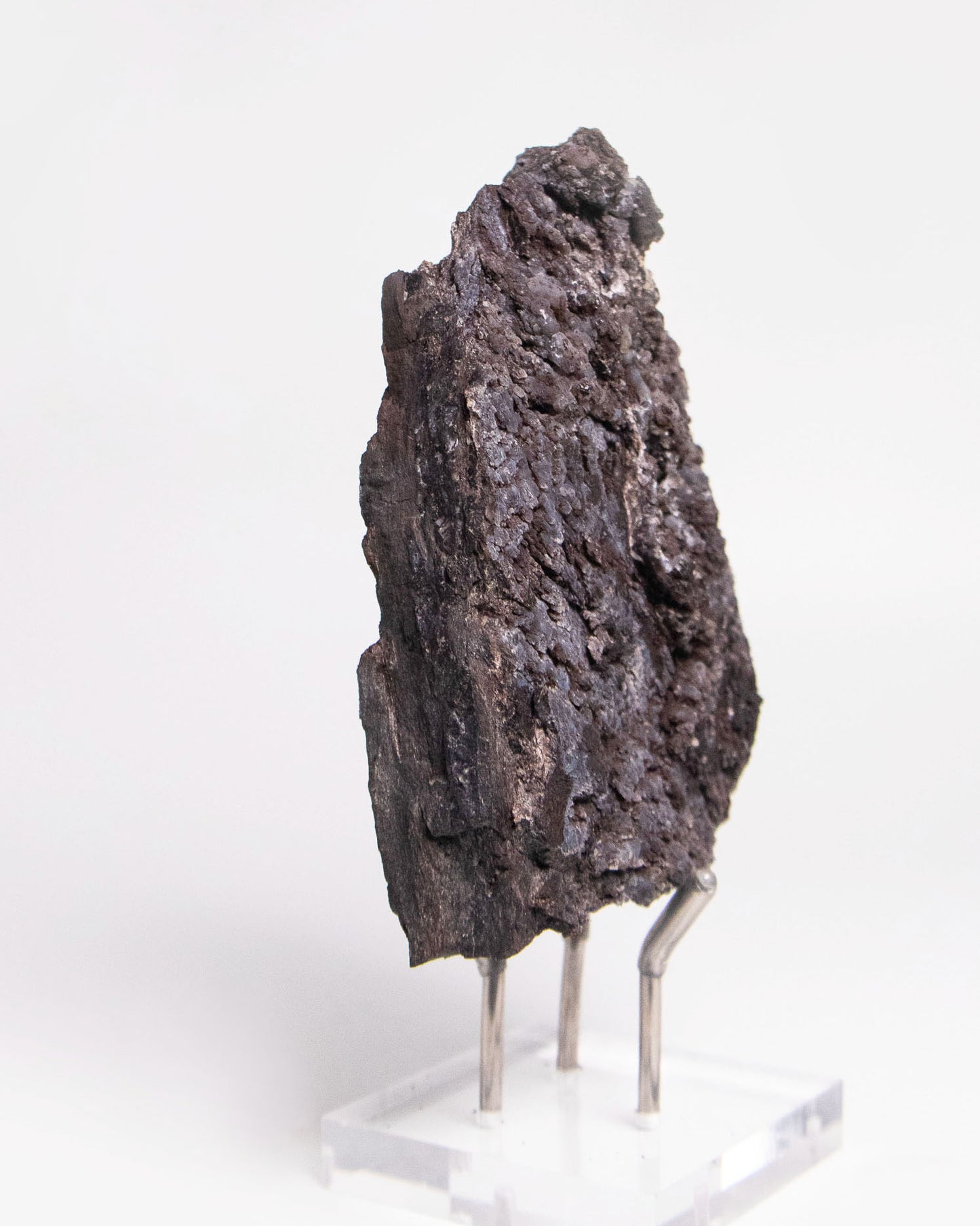 阿爾卑斯產木化石標本，含玉髓結晶與細緻紋理，是收藏者與自然系家居空間的理想裝飾品。