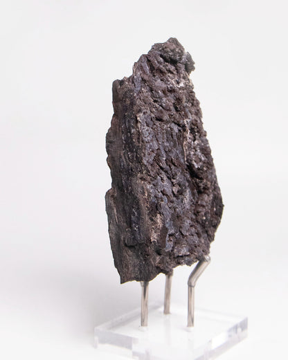 阿爾卑斯產木化石標本，含玉髓結晶與細緻紋理，是收藏者與自然系家居空間的理想裝飾品。