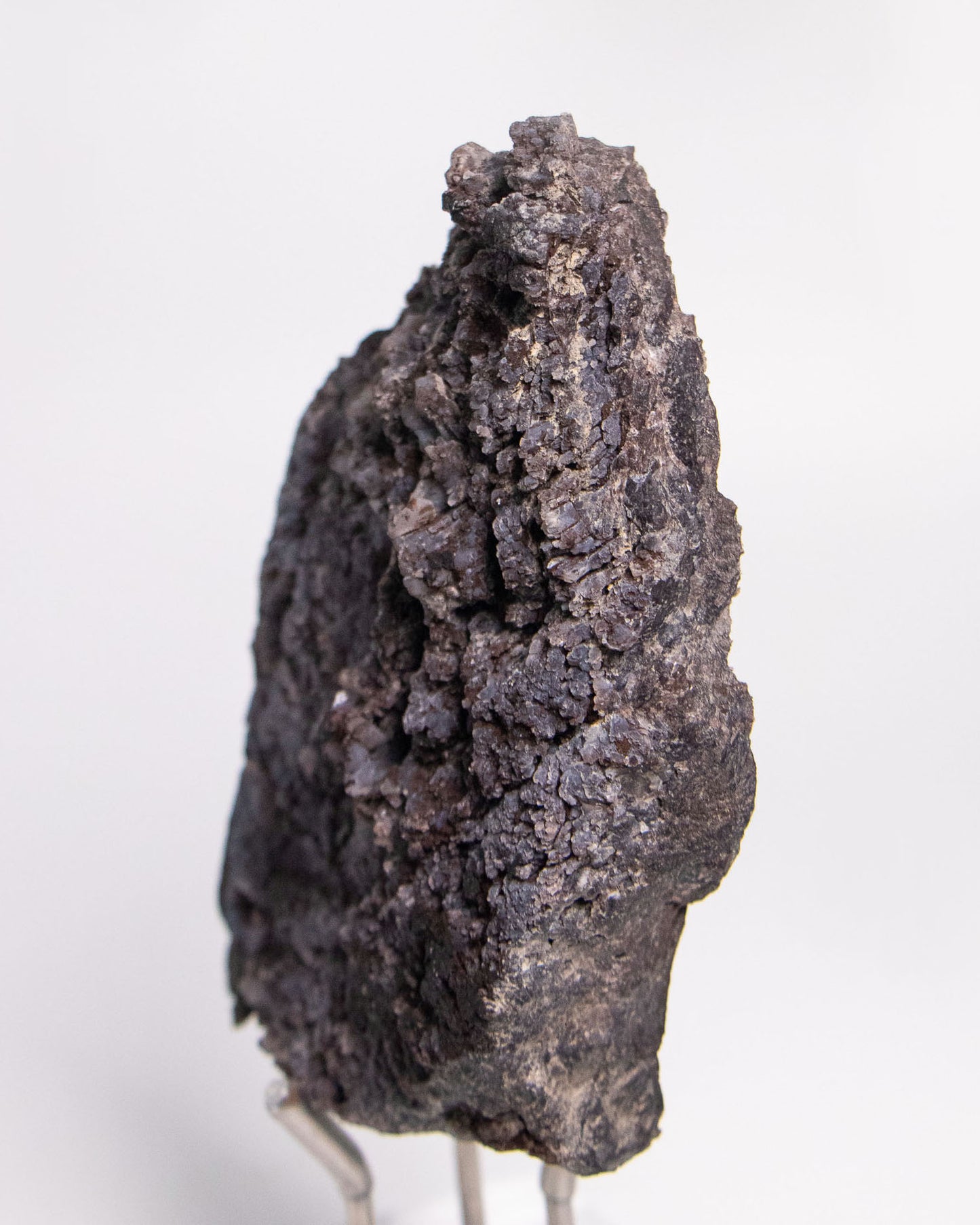 阿爾卑斯產木化石標本，含玉髓結晶與細緻紋理，是收藏者與自然系家居空間的理想裝飾品。