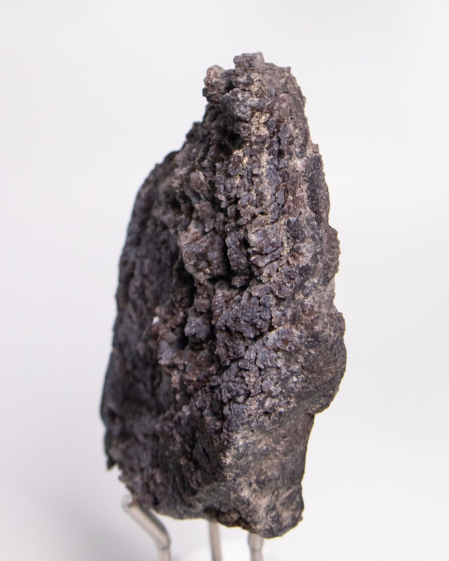 阿爾卑斯產木化石標本，含玉髓結晶與細緻紋理，是收藏者與自然系家居空間的理想裝飾品。