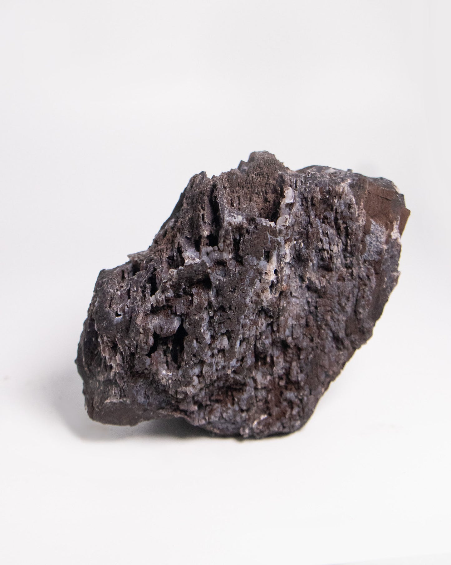 阿爾卑斯產木化石標本，含玉髓結晶與細緻紋理，是收藏者與自然系家居空間的理想裝飾品。