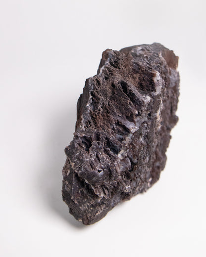 阿爾卑斯產木化石標本，含玉髓結晶與細緻紋理，是收藏者與自然系家居空間的理想裝飾品。