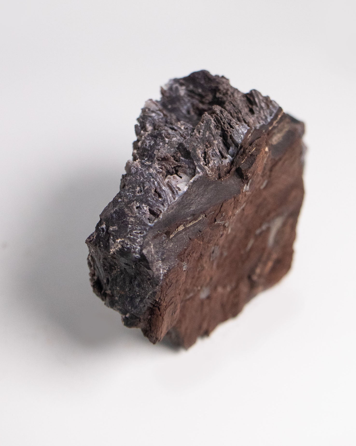 阿爾卑斯產木化石標本，含玉髓結晶與細緻紋理，是收藏者與自然系家居空間的理想裝飾品。