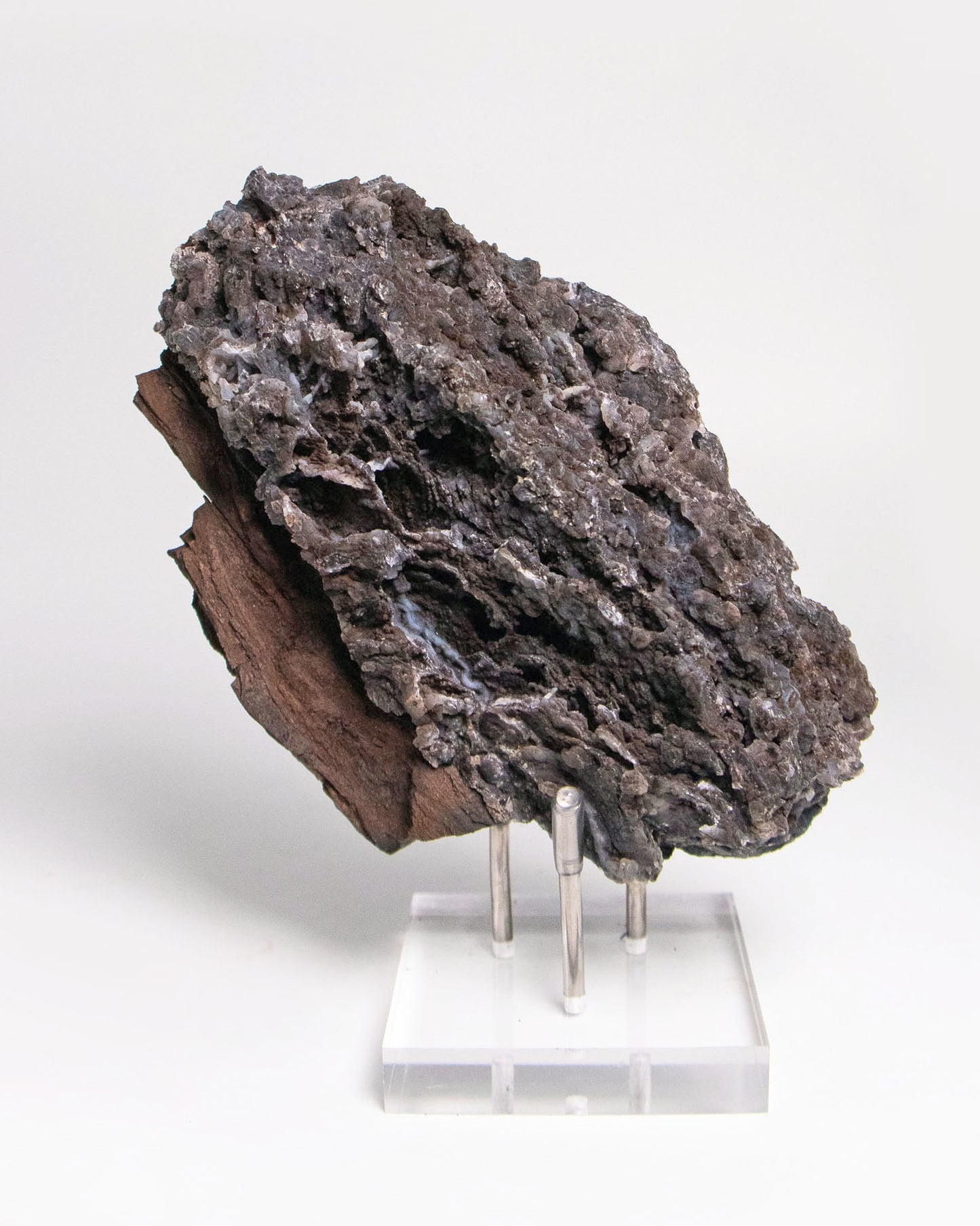 阿爾卑斯產木化石標本，含玉髓結晶與細緻紋理，是收藏者與自然系家居空間的理想裝飾品。