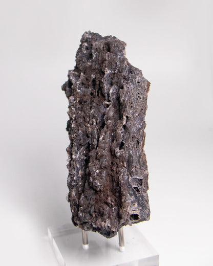 阿爾卑斯產木化石標本，含玉髓結晶與細緻紋理，是收藏者與自然系家居空間的理想裝飾品。