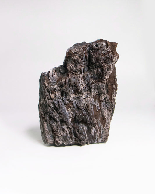 木質生活透過義大利阿爾卑斯木化石做居家擺飾