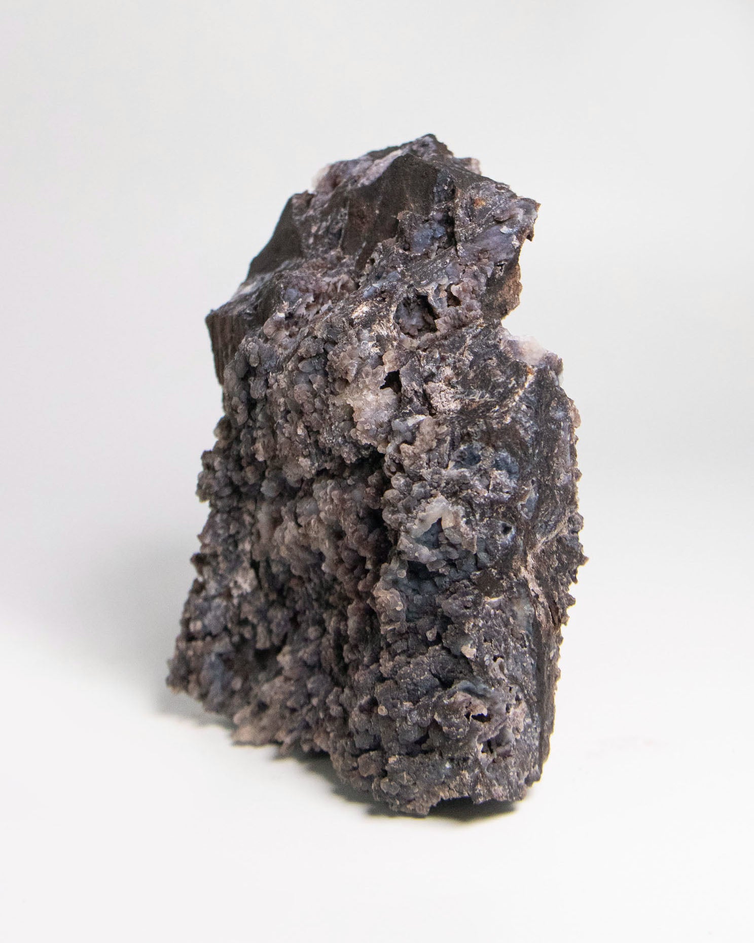 木質生活透過義大利阿爾卑斯木化石做居家擺飾