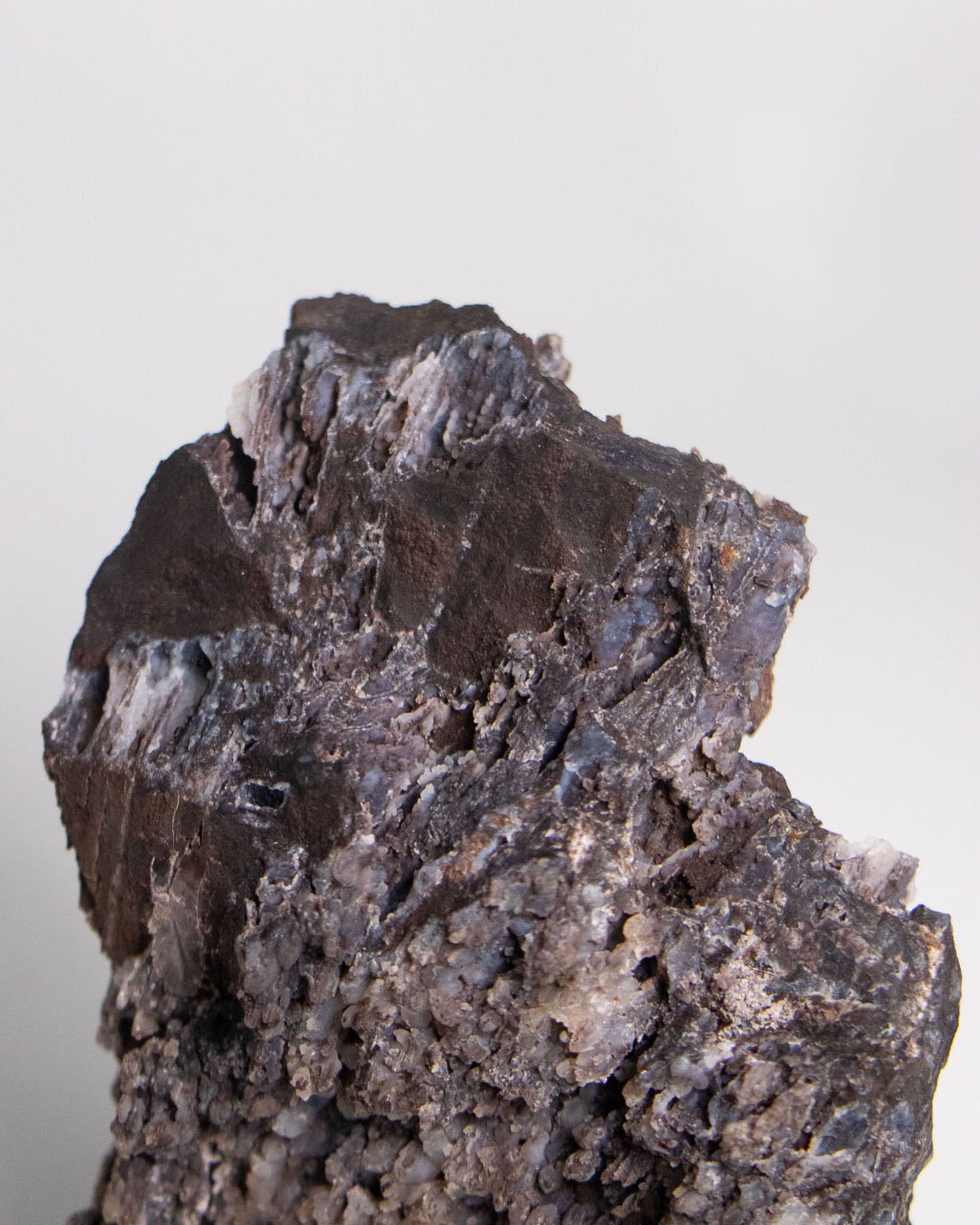 木質生活透過義大利阿爾卑斯木化石做居家擺飾