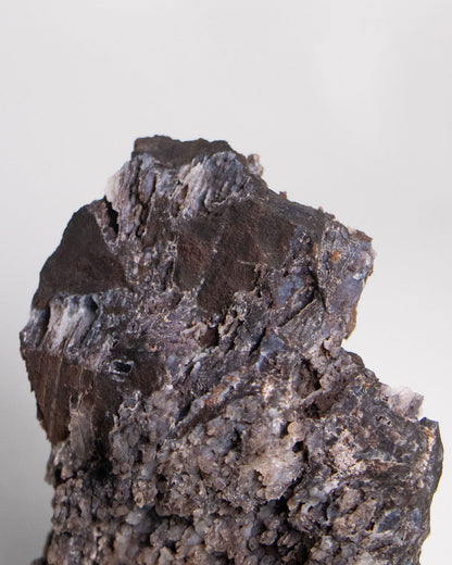 木質生活透過義大利阿爾卑斯木化石做居家擺飾