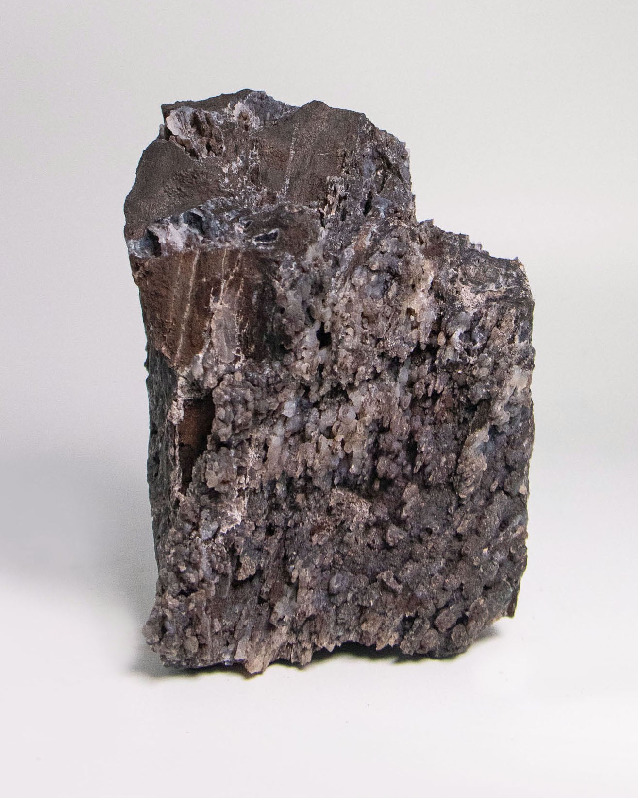 義大利阿爾卑斯木化石做居家擺飾打造木質生活