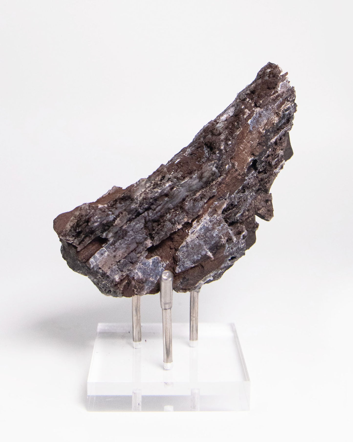 阿爾卑斯產木化石標本，含玉髓結晶與細緻紋理，是收藏者與自然系家居空間的理想裝飾品。