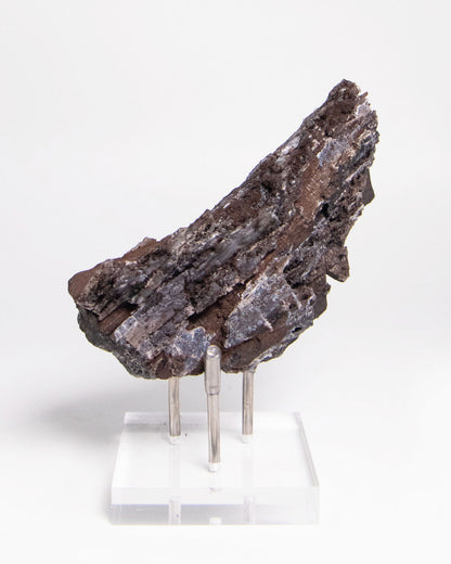 阿爾卑斯產木化石標本，含玉髓結晶與細緻紋理，是收藏者與自然系家居空間的理想裝飾品。