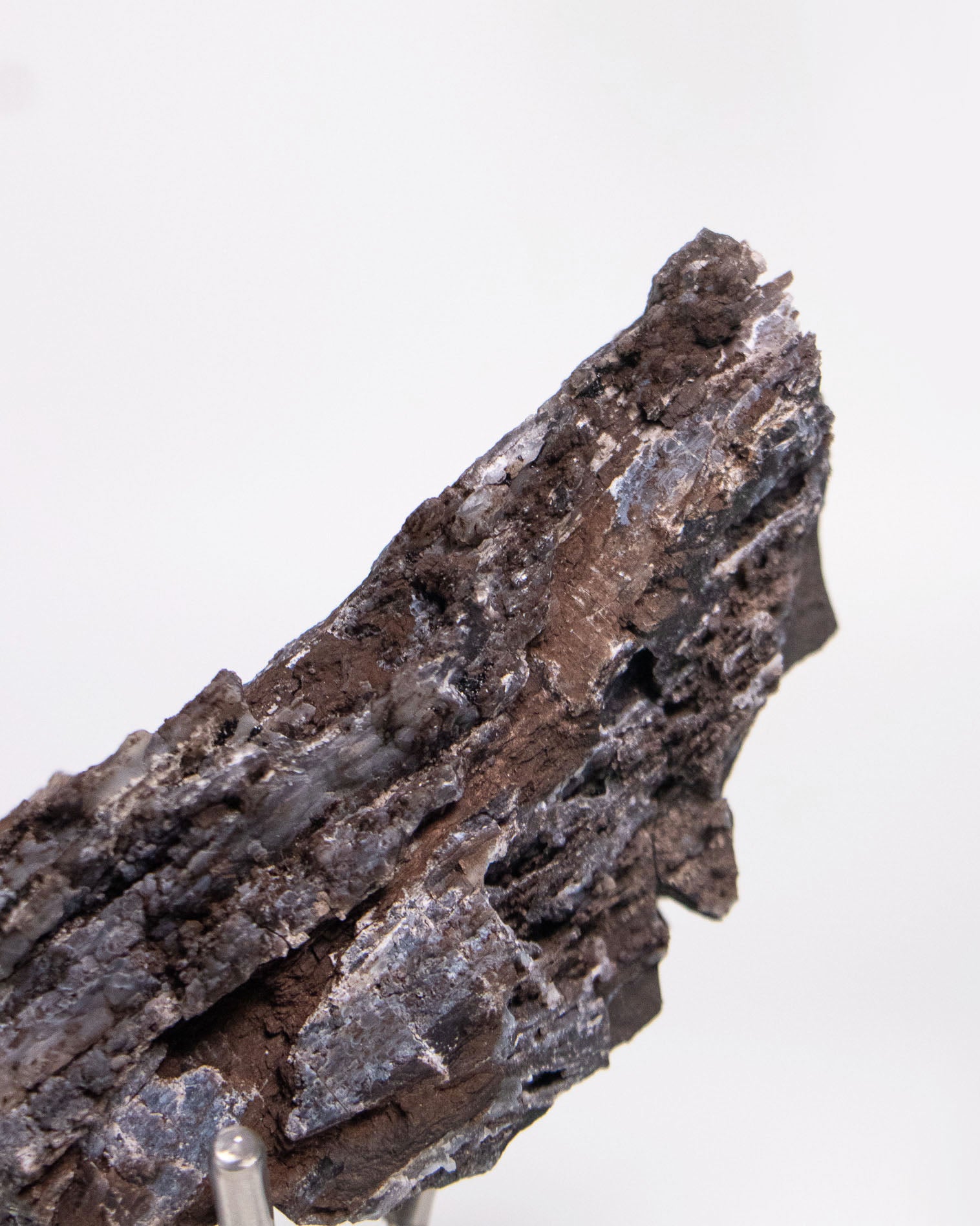 義大利阿爾卑斯產木化石，含玉髓結晶與細緻紋理，是收藏者與自然系家居空間的理想裝飾品。