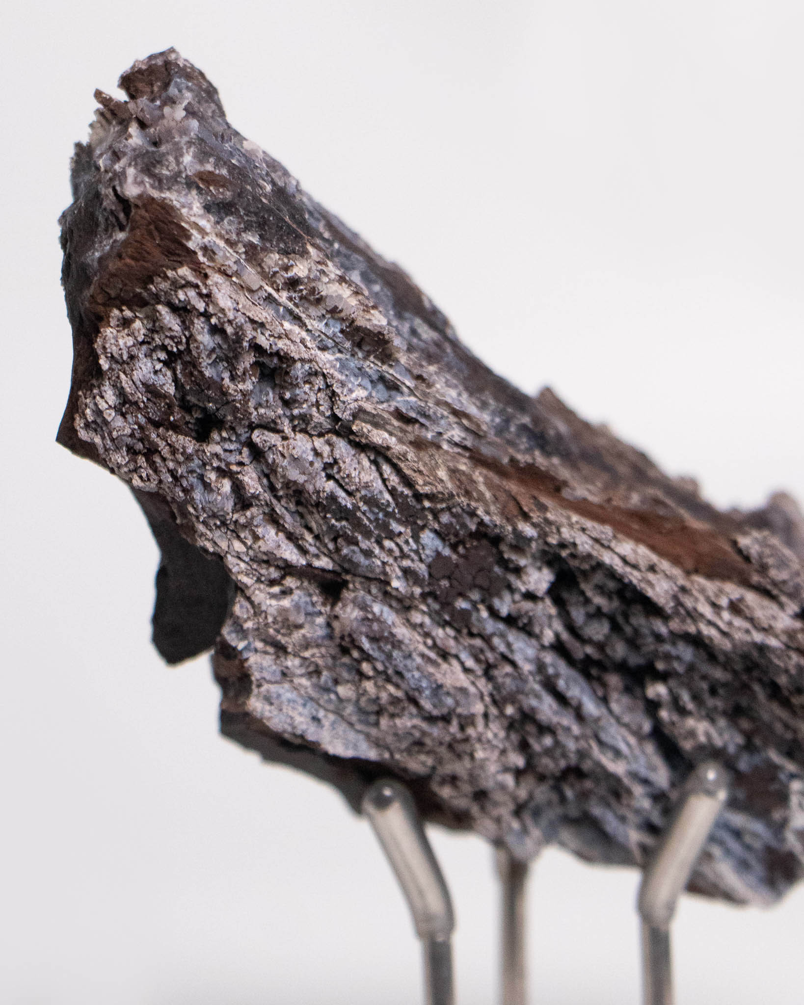 義大利阿爾卑斯產木化石，含玉髓結晶與細緻紋理，是收藏者與自然系家居空間的理想裝飾品。