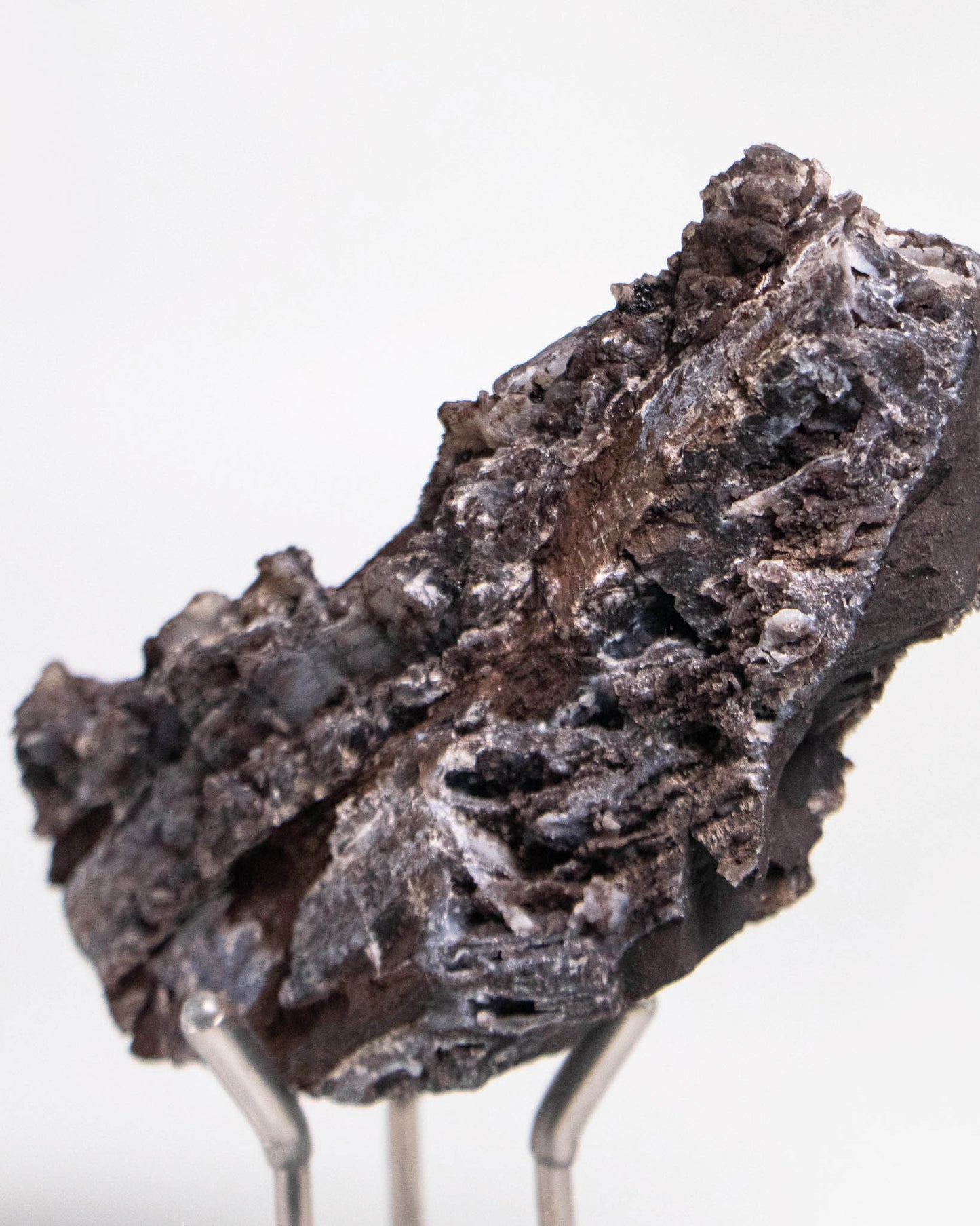 義大利阿爾卑斯產木化石，含玉髓結晶與細緻紋理，是收藏者與自然系家居空間的理想裝飾品。