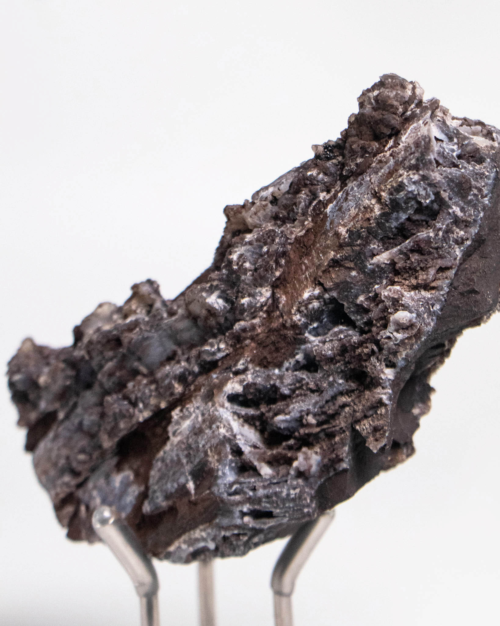 義大利阿爾卑斯產木化石，含玉髓結晶與細緻紋理，是收藏者與自然系家居空間的理想裝飾品。