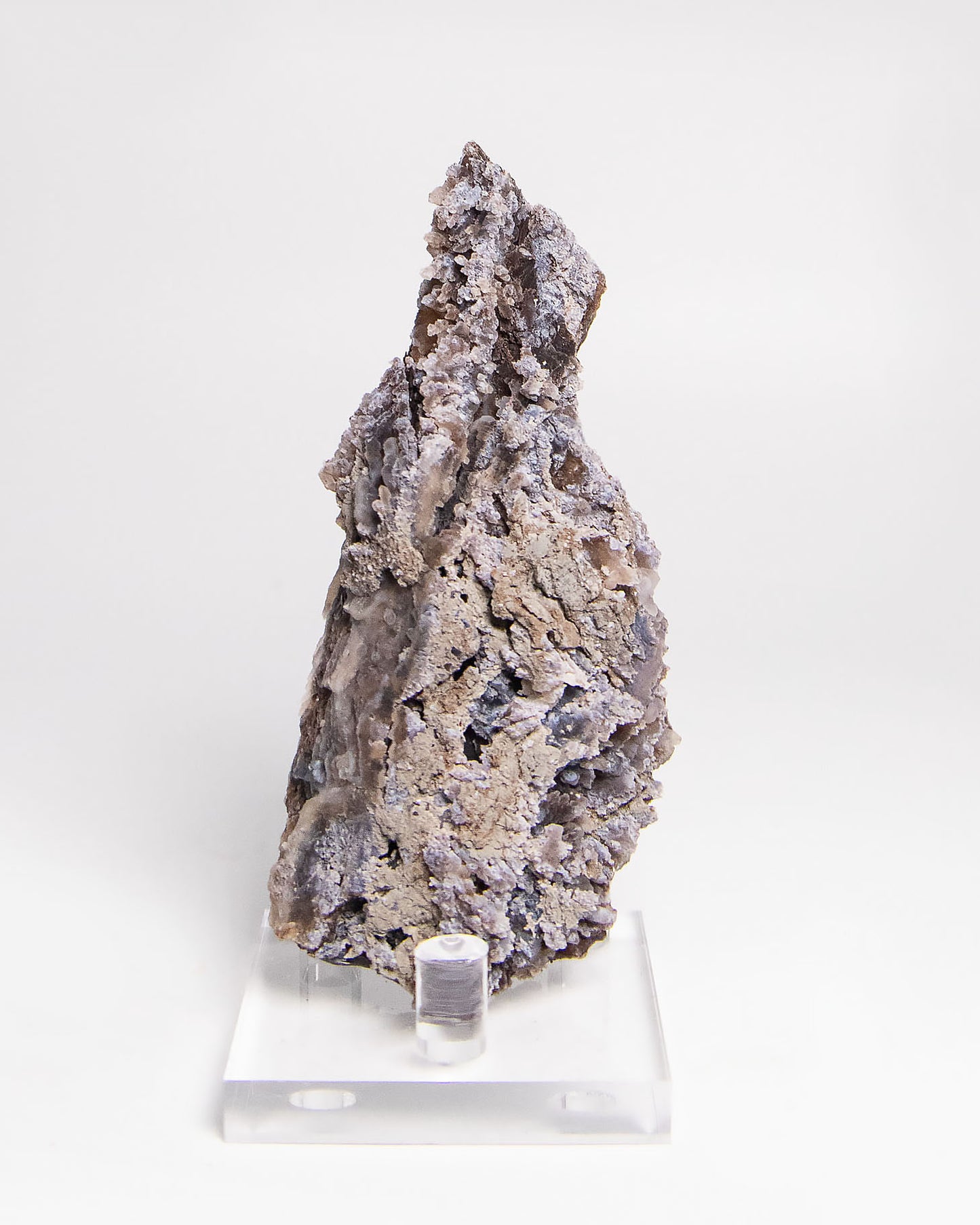 木質生活透過義大利阿爾卑斯木化石做居家擺飾