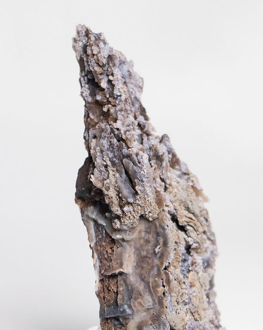 木質生活透過義大利阿爾卑斯木化石做居家擺飾