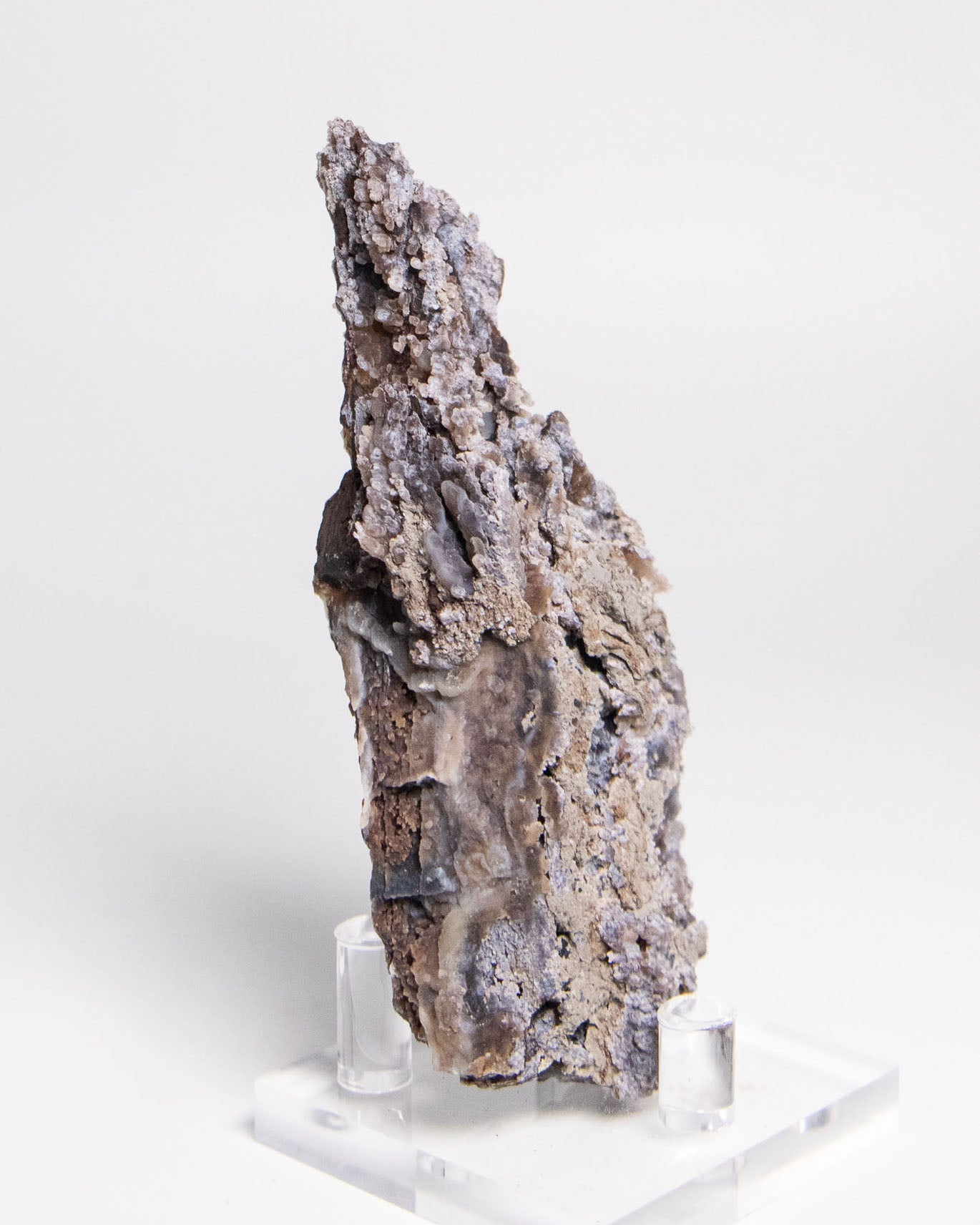 木質生活透過義大利阿爾卑斯木化石做居家擺飾