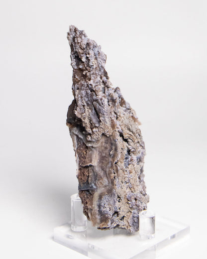 木質生活透過義大利阿爾卑斯木化石做居家擺飾