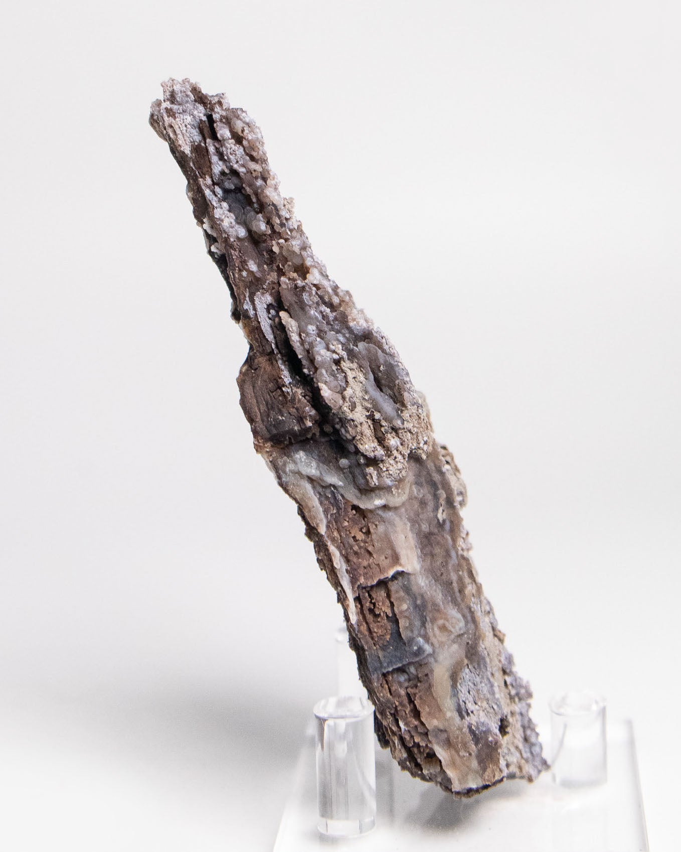 木質生活透過義大利阿爾卑斯木化石做居家擺飾