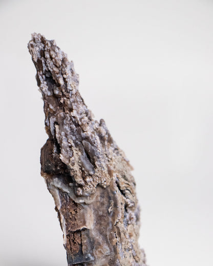 木質生活透過義大利阿爾卑斯木化石做居家擺飾