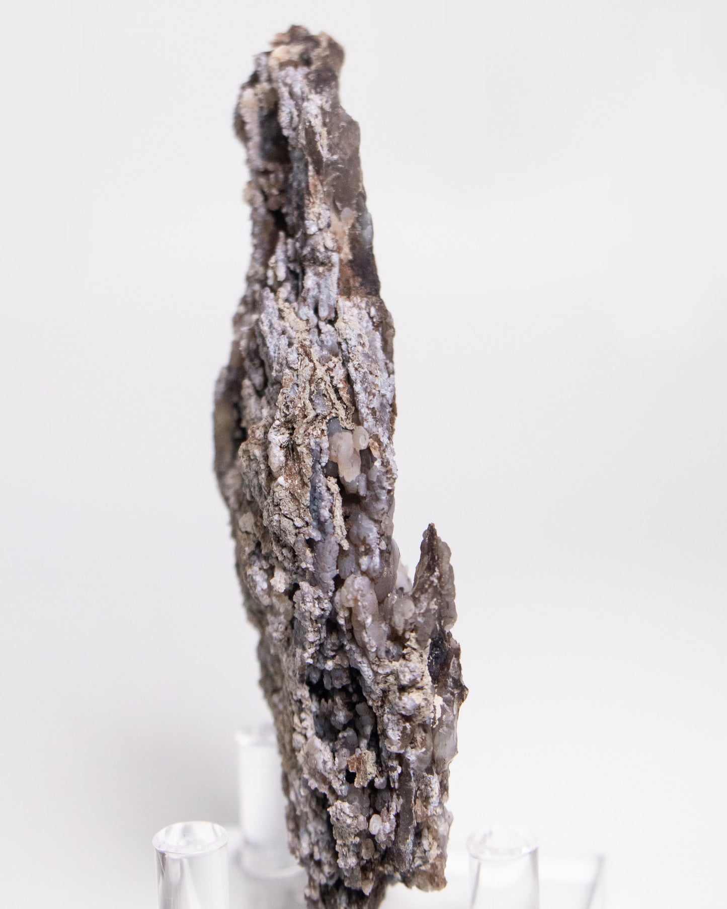 木質生活透過義大利阿爾卑斯木化石做居家擺飾