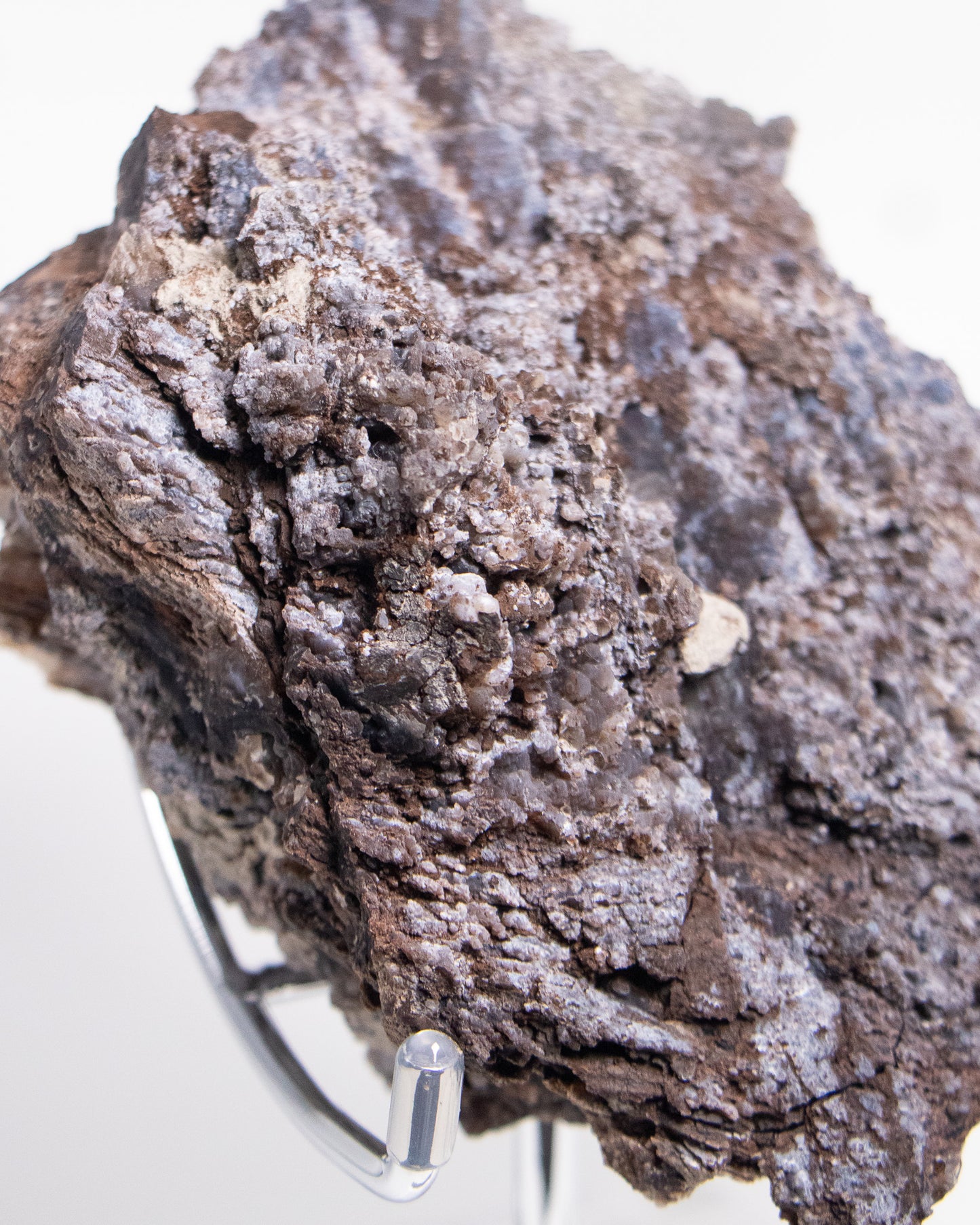 義大利阿爾卑斯木化石藍玉髓