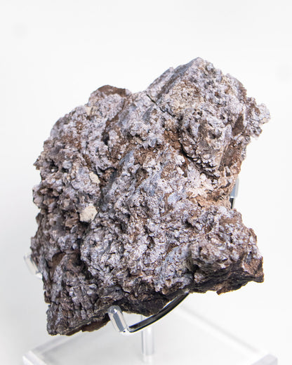 義大利阿爾卑斯木化石藍玉髓