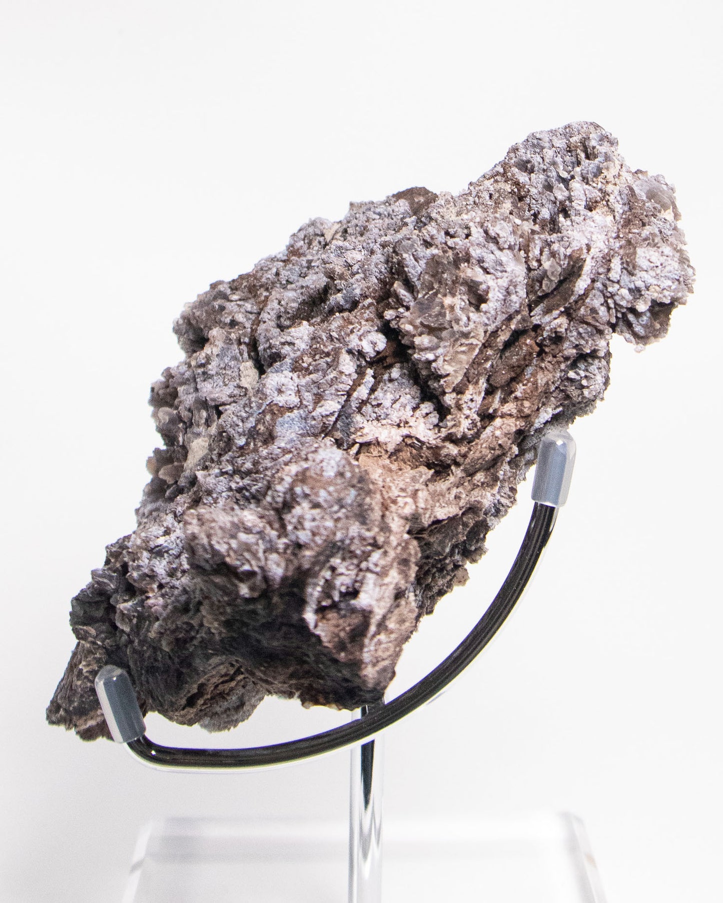 義大利阿爾卑斯木化石藍玉髓