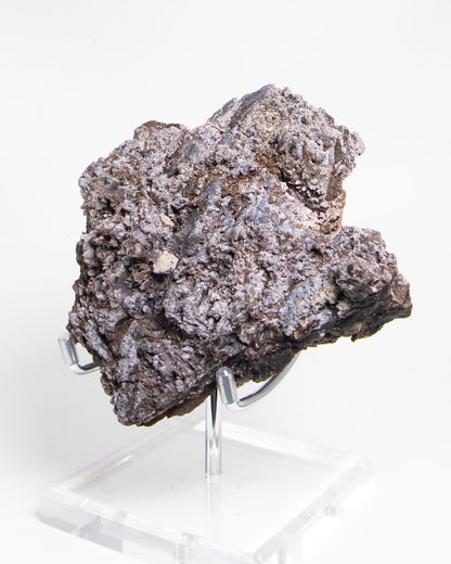 義大利阿爾卑斯木化石藍玉髓