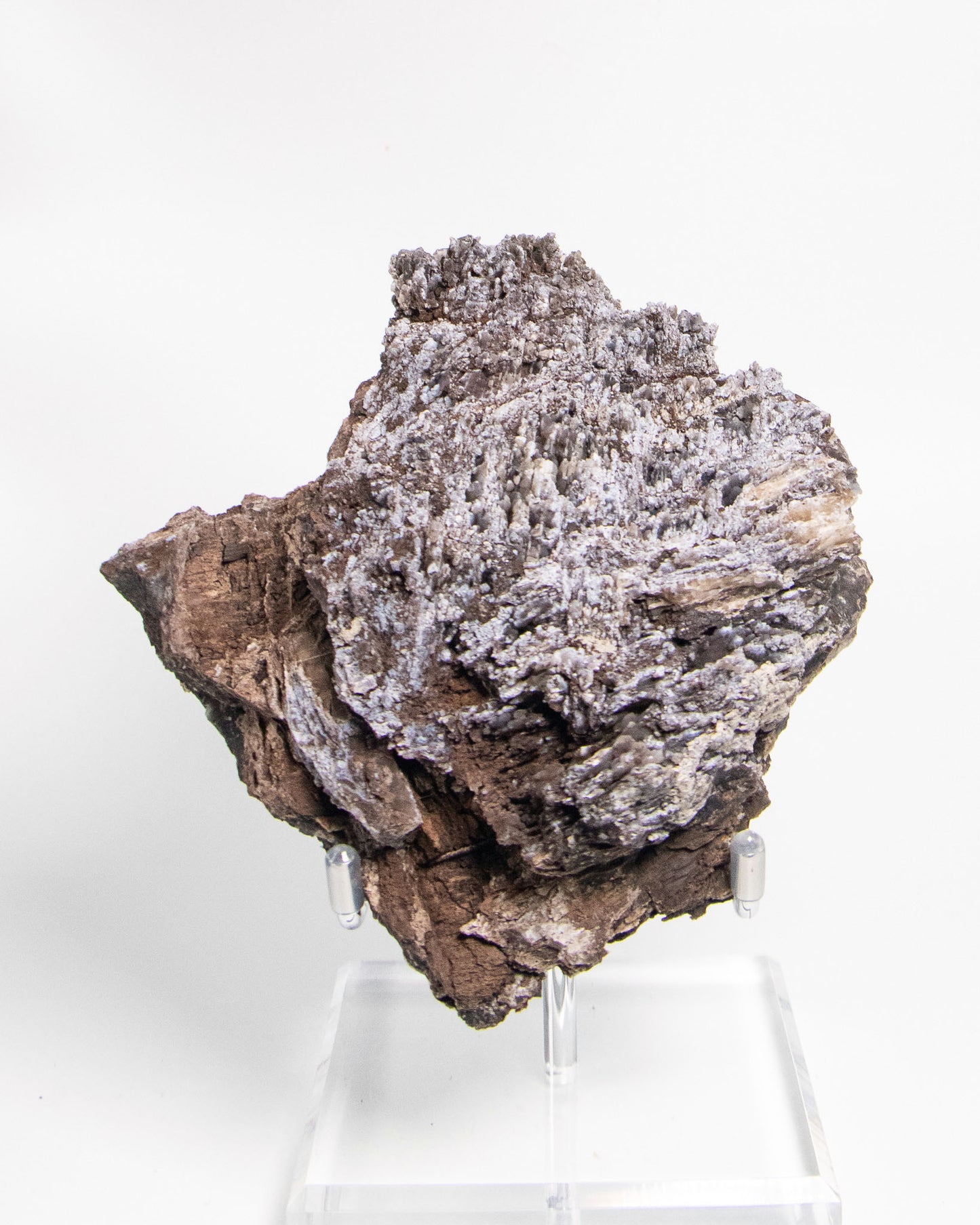 義大利阿爾卑斯木化石藍玉髓