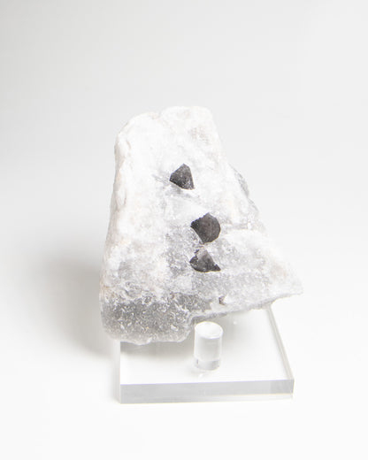 稀有罕見的義大利雙尖黑水晶｜療癒與保護能量