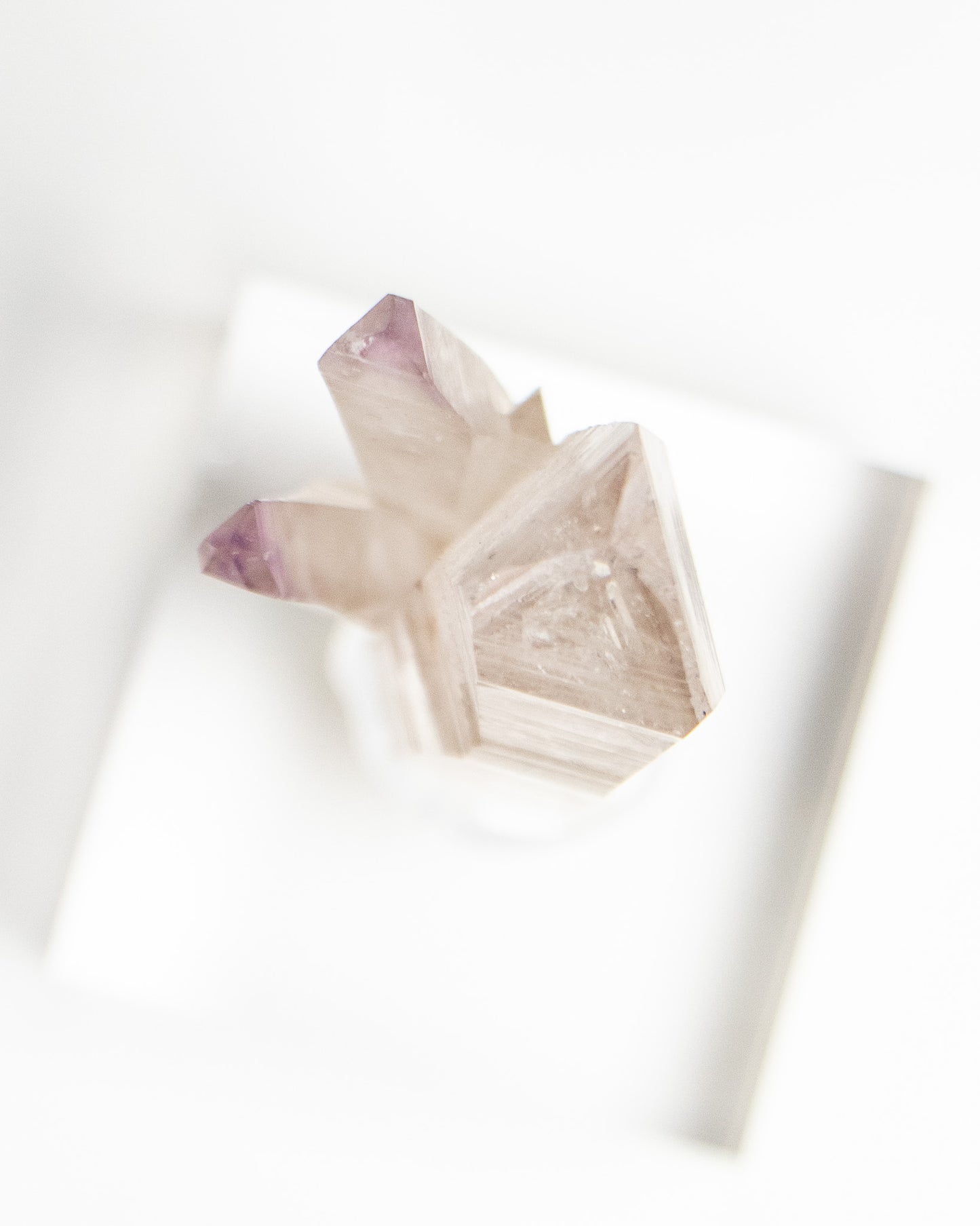 科羅拉多紫水晶｜稀有產區‧Crystal Hill高端礦物標本 Fine Amethyst specimen from Colorado