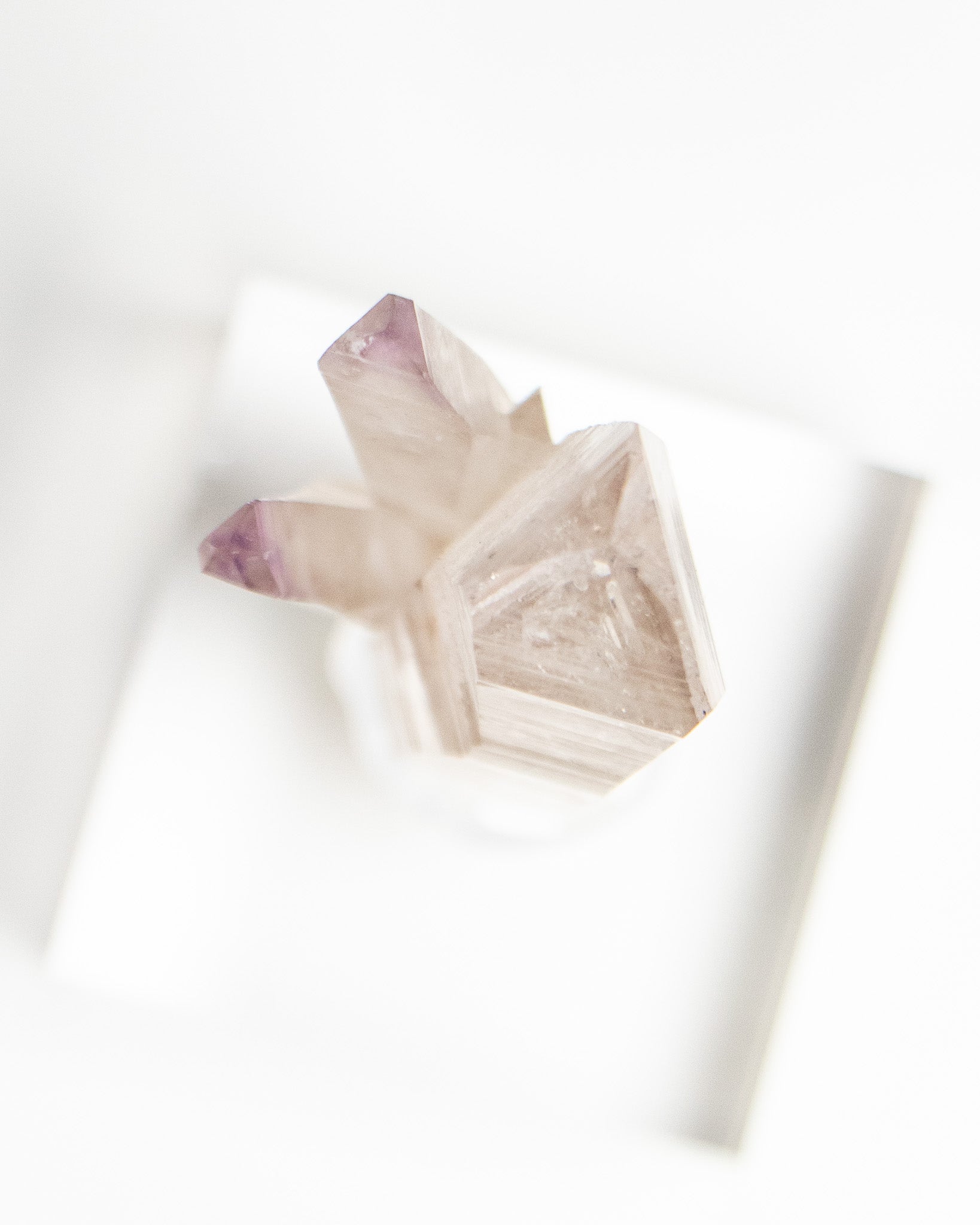 科羅拉多紫水晶｜稀有產區‧Crystal Hill高端礦物標本 Fine Amethyst specimen from Colorado